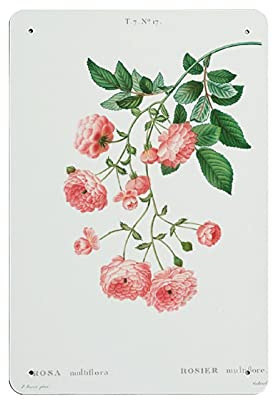 PRINTABLE WALL ART Rambler Rose Flower tin sign, Wall Decor, Home Decor, Printable Art, Botanical Print,Retro style, farmhouse decoration, home, bar, restaurant, garage, tin sign 5.5x8 inches