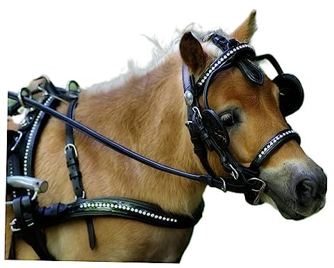Tysons Breeches Juwel Brustblattgeschirr Brustblatt Geschirr Einspänner Glitzer Lack Leder Ledergeschirr Minishetty Shetty Schwarz SET 1 Spänner (Shetty)