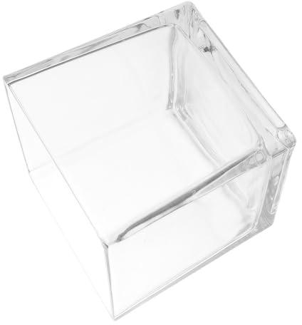 TOYANDONA Vaso Idroponico in Vetro Trasparente Cubo, Vaso Decorativo da Interno per Piante e Fiori, Robusto e Moderno per Casa e Ufficio