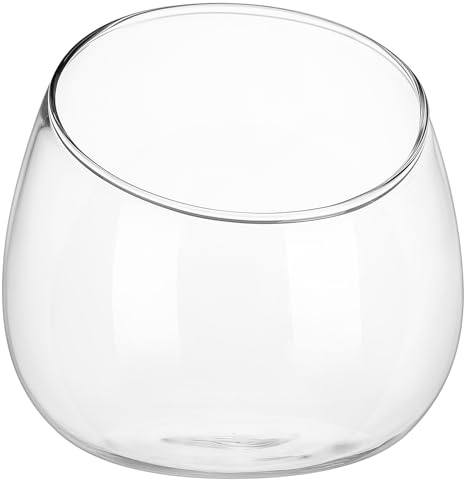 Levemolo Clear Glass Bowl Vase with Unique Slanted Design for Indoor Succulent and Moss Planting Small Decorative Pot for Home Centerpieces and Natural Office Ambiance