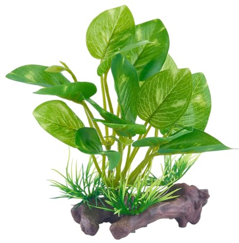 CREATCABIN Plantes Artificielles Plastique pour Aquarium Décorations Réalistes pour Reptiles Amphibiens Cachettes pour Poissons Rouges Bettas pour Aquarium Petite Grande Taille Terrarium 12x9.7x7.5cm