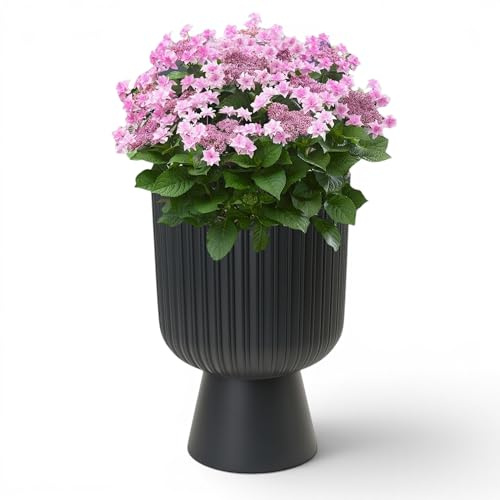MELTOM Pot de Fleurs en Plastique, Pot de Fleurs, Calice avec rainures 3D (Anthracite, XXL - 56,5 cm)