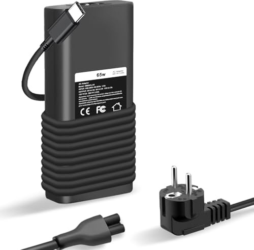 ZJWDATG 65W USB C Chargeur Compatible avec Dell Chromebook 3100 3300 Latitude 5000 5420 5520 5400 5290 5320 7420 7410 7430 7480 7490 7320 7330 Inspiron 14 7425 16 7620 XPS 12 13 et Autres
