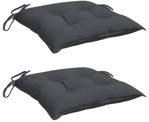 vidaXL Lot de 2 Coussins de Chaise, Galette de Siège avec Jeux de Cordes, Coussin d'Extérieur Imperméable, Anthracite 40x40x7 cm Tissu Oxford