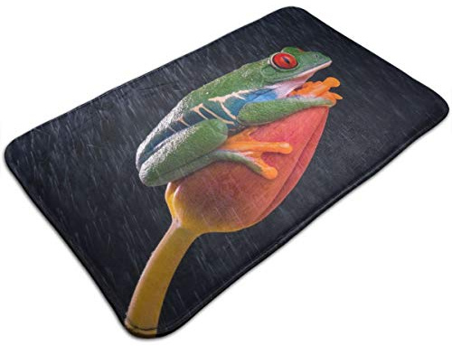 Antideslizante Tapete Rana Resistente Alfombrilla de WC 60×40cm para Balcón,Dormitorio,Cocina,Interior