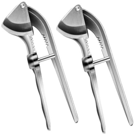 TOPPERFUN Presse-Ail Manuel en Alliage d'Aluminium Set de 2 Outil Cuisine Pratique Ergonomique pour Écraser Ail Adapté et Restaurant