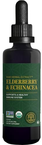 Global Healing USDA Organic Elderberry & Echinacea Liquid Supplement Tincture | Antioxidant Immune Support Against Harmful Organisms for Adults and Kids, Vegan, Non-GMO, 1-Month Supply (2 Oz)
