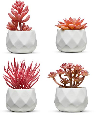 Nordik Faux Succulents - White Ceramic Desk Plants for Office Set of 4 | Premium Lifelike Faux Plants, Mini Indoor Fake Plants, Zero Maintenance, Small Artificial Desk Plants for Home Office