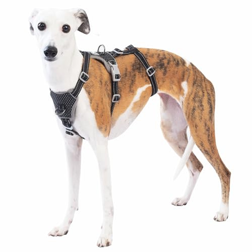 Huntboo Medium Rymningssäkert Hundsele, Anti-drag Reflekterande Hundsele, Säker 4-punktsväst för Små Djur, Lättviktig, Justerbar, för Stora Hundar vid Utomhusträning och Vandring (Svart,L)