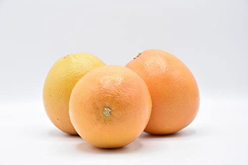 Pompelmo Rosè 4 kg Fabio Frutta