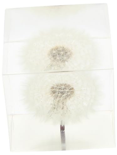 Amosfun Pusteblumen Würfel Ornament Kristall Tischdeko Für Büro Und Zuhause Glas Kreatives Für Geburtstage Und Feiertage Zarte Deko Für Schreibtische Und Regale