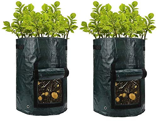 BJ-SHOP Pflanzen Tasche, Garten Gemüse Pflanzer Taschen, Polypropylen (PP), Atmungsaktiv, Belüftung, Outdoor, Mittelgroß