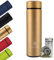 TREWOL Botella Térmica con filtro Infusor de Acero Inoxidable 500ml - Termo para Té, Infusiones y Café con doble parede aislante. Diseño Moderno y Hermético - Libre de BPA(Oro)
