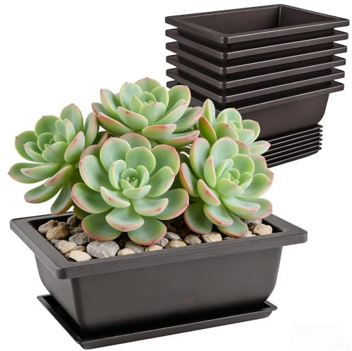 Calenxy 6 ciotole per bonsai, 16,5 x 12 x 6 cm, con vassoi riutilizzabili, in plastica, per bonsail, per giardini, cortili, uffici, soggiorno, balconi