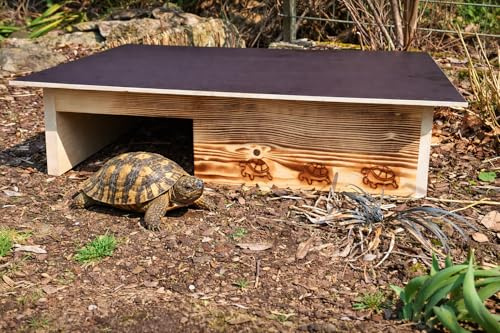 Woid Herz Premium Maison pour tortue en bois massif de 20 mm (SH13) - Maison pour tortue, enclos pour tortue, tortue en plein air, brûlé