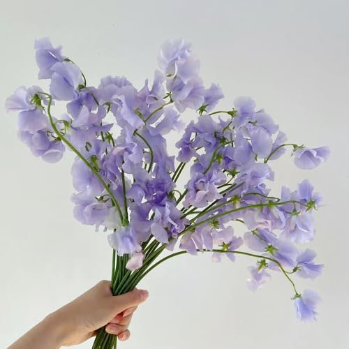 30 pcs duftwicke samen rankend, wicken samen, pflanzen samen, garten geschenke edelwicken edelwicke - Lathyrus odoratus - blumen für balkon, bio saatgut winterharte stauden für pralle