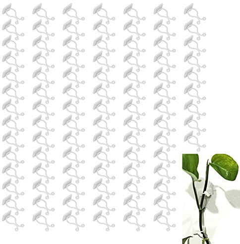 HERCHR Fixation Murale pour Plantes grimpantes, 100 pièces, Clip de Fixation Mural Auto-adhésif pour vignes, Fixation de Branche Auto-adhésive, Clip de Fixation pour pothos, Plantes (Blanche)
