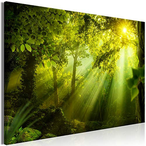 murando - Leinwandbild Waldlandschaft grün Baum, 120x80 cm, 1-teilig | Hochwertige Leinwand, sofort aufhängbar, ideal fürs Wohn- oder Schlafzimmer, wasserfest und lichtecht, langlebig, stilvoll