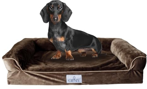 Giesty Orthopädisches Hundebett für Mittelgroße Hunde, Hundecouch mit hohem Rand, Haustierbett, Hundesofa waschbar, Velours und Kunstpelz (Beige, M(75 * 57 * 20cm))