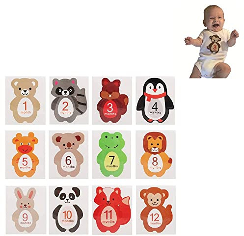 Baby Meilenstein Karten, Fotokarten 12 Stück für Babyparty 1-12 Monate