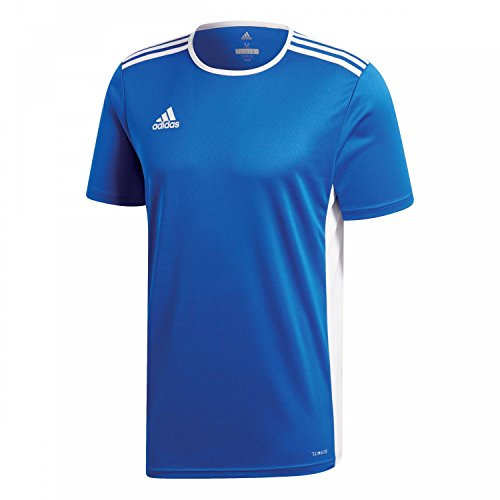Adidas Herren Trikot Entrada 18, Bold Blue/White, XXL, CF1037