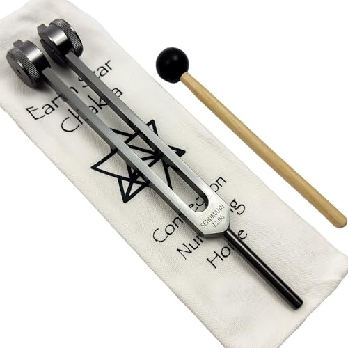 Schumann Stimmgabel mit Gravur, 93,96 Hz, Erdgrau | Mit Tragetasche und Rührer, Klangheilungsinstrumenten und Biofeld-Harmonisierung – Chakra-Ausrichtung