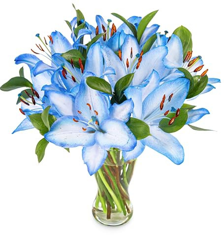 Luxury Blue Oriental Lily Bouquet, Stunning Fresh Flowers with Ruscus Foliage, Unique Handcrafted Arrangement Perfect for Birthday, Anniversary or Celebration– Arrives in Bud for Long-Lasting Beauty