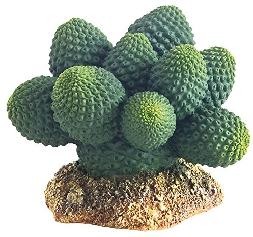 HOBBY Terraristik Kaktus Atacama I 6 x 5 x 7 cm I Dekorative Terrarienpflanze I Realistische Wüstenpflanze für naturnahe Gestaltung I Terrarium Dekoration aus hochwertigem Material gefertigt