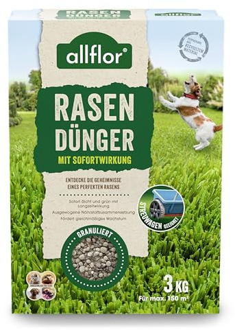 Allflor Rasen-Dünger mit Sofortwirkung I 1 x 3 Kg I NPK 12-5-5 I Rasendünger in der Faltschachtel I Dünger ist gut geeignet für Streuwagen I Düngemittel mit hohem Stickstoffgehalt