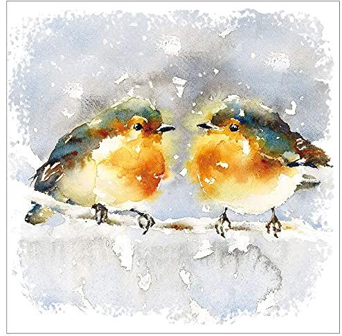 Weihnachtskarten mit Umschlag Set 10 Stück - Rotkehlchen auf Zweig, 10 Nostalgie Weihnachtskarten für Weihnachten mit Umschlägen, Christmas Cards in English, Just Cards Direct