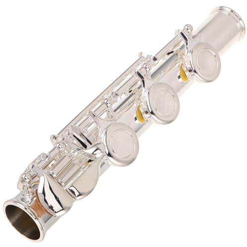 SHOWERORO Embout de Patte de Flûte Argenté 17 Clés Diamètre 20 MM Connecteur de Réparation et Pièces de Rechange pour Entretien Flûte Accessoire Musical Professionnel