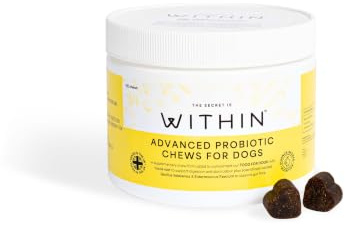 Within Advanced Probiotic Chews for Dogs | 120 Soft Chews | Bacillus Velezensis, Enterococcus Faecium & Yucca Root for Gut Health & Digestion | Vet Approved, Made in the UK