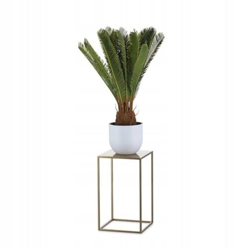 HowHomely Support de fleurs en métal - 40 x 24 cm - Tabouret stable et solide - Support pour plantes dorées pour l'intérieur comme le salon ou la chambre à coucher