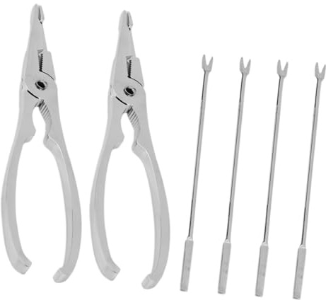 POPETPOP Set di Utensili 6 Pezzi in Acciaio Inossidabile per Crostacei Coltello per Ostriche Portatili, Sicuri e Facili da Trasportare per Frutti di Mare