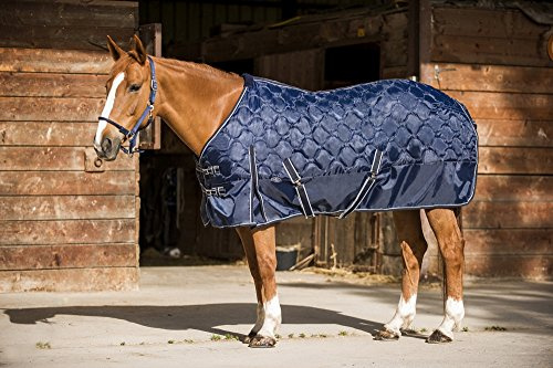 Norton Unisex Erwachsene 400516060 Stallteppich, Marineblau/Hellgrau Kontraste, 183 cm