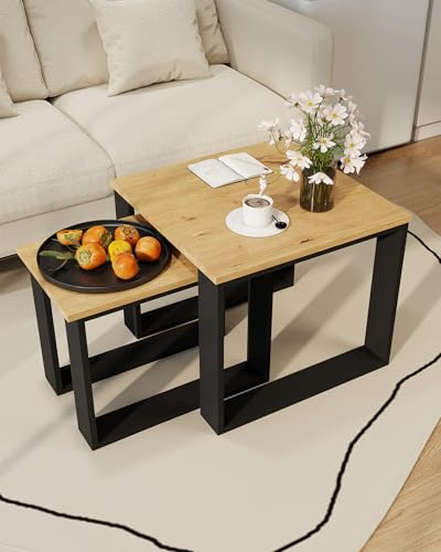 Amveya Couchtisch Set 2er Set Wohnzimmertisch Beistelltisch Nested Sofatisch mit Ablagefläche für Couch Wohnzimmer Möbel