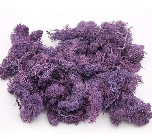 Musgo Morado o Lila - 500gr - Musgo Preservado y Natural para el Hogar o la Oficina