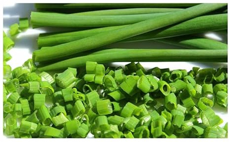 Pcs - 30x Ciboulette Roehrig Grossier Allium Schoenoprasum Jardin Plantes - Graines KS216 - Seeds & Plants Shop by Ipsa
