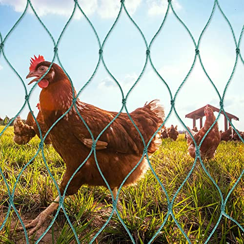 JUDANNA Geflügelnetz Hühnernetz aus 36 Fäden mit festen Knoten Masche 5 cm Geflügelzaun Hühnerzaun Mobiler Weidezaun (1.5 X 25m)