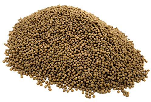 HERONS - Wheatgerm Pellets - 3 mm Pellets for all Goldfish, Japanese koi and Pond Fish - OMEGA-3 Fatty Acids, Vitamin E and C - Improves Digestion, Liver Function - Enhance Colour - 2KG