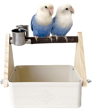 Papegojstativ – fågelmatningsställ med dubbla skålar, papegoja abborre klo leksak, för parakit nymfkakadua kolibri duva quaker lovebird trädgård gård