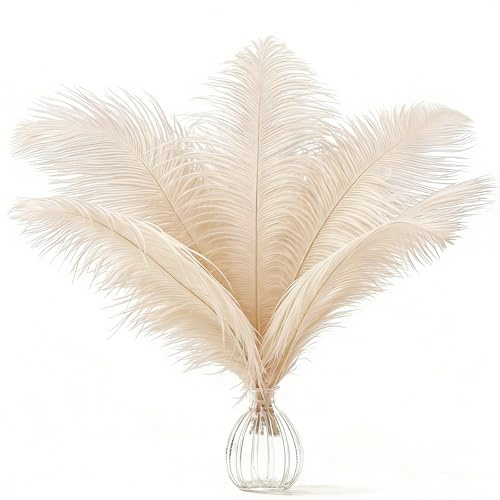 AOOTE Plumas de Avestruz,12 Pcs Natural Plumas de Avestruz,25-30 cm Plumas Grandes,Plumas de Avestruz Teñidas para Decoración de Bodas en Casa,Manualidades,Jarrón de Plumas de Avestruz