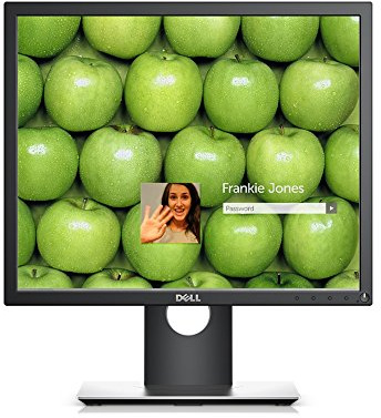 Dell P1917S 48cm (18.9) LCD/LED Monitor - Black