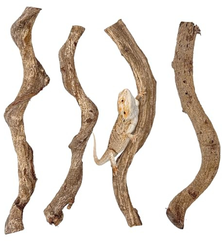 Apatal Reptile Climbing Branch Decor Wood Snake Terrarium Branches Lizard Habitat Decorations Wooden Tree Trunk Ornament for Bearded Dragon Geckos Chameleon Frog Pack of 4 (14-16 inch)