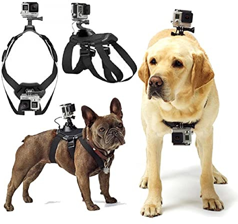 GoPro hundsele – mjuk, justerbar för stora, medelstora och små hundar – bröst- och ryggfäste för alla GoPro hjältemodeller