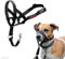 HALTI Headcollar Size 1 Black, UK Bestselling Dog Head Harness to Stop Pulling on the Lead, Easy to Use, Padded Nose Band, Adjustable & Reflective, Professional Anti-Pull Training Aid for Small Dogs