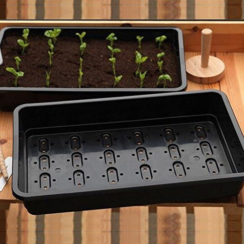 Britten & James 10 Professional Standard Black Seed Trays with Holes | Heavy Duty Trays made from Extra Thick Plastic with Efficient Drainage Holes 37.5 x 23cm/15 x 9