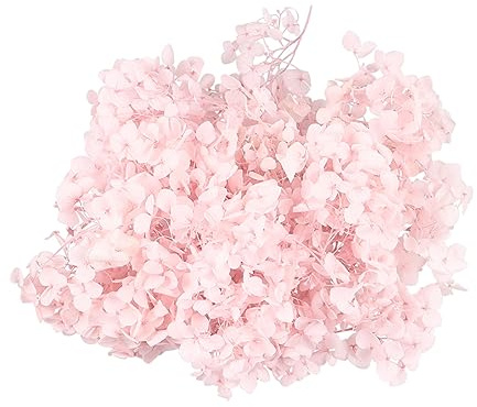 BESTYASH Ortensia Essiccati Naturali Fiori Secchi per Decorazioni Diy Nail Feste Rosa per Matrimonio e Compleanno