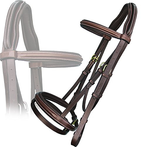 Exion English Jumping Hunter Bridle with Removable Flash Noseband, Rubber Reins & Brass Buckle | Soft Padded Raised Snaffle Browband & Noseband | Anti-Pressure Headpiece | Leather Horse Bridle