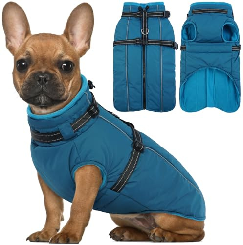 Lelepet Hundemantel für den Winter, Warme Hundejacke mit integriertem Geschirr, Winddicht Mantel mit Fleece Gefüttert für Hunde, Reflektierende Hundeweste für Kaltes Wetter, Blau M
